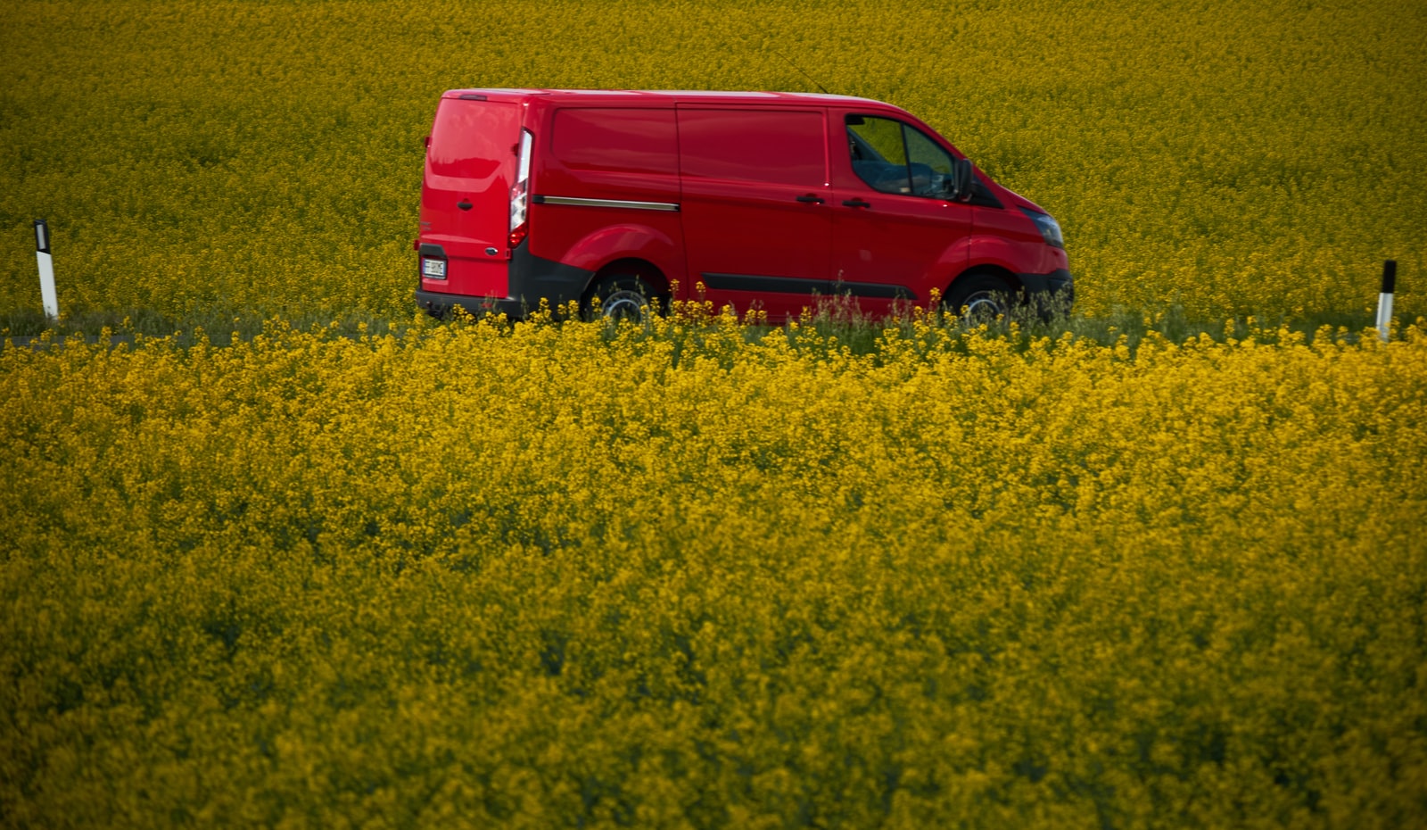 red suv on yellow flower field during daytime